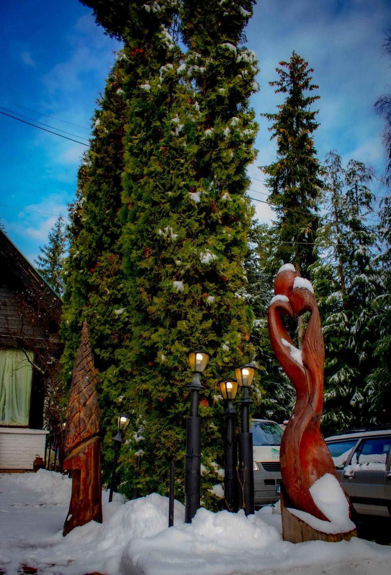 Breza Hotel Borovets Buitenkant foto